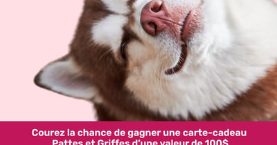 Concours Gagnez une carte-cadeau Pattes et Griffes de 100$!