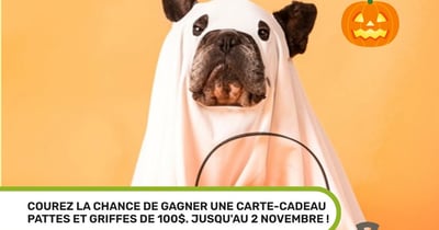 Concours Gagnez une carte-cadeau Pattes Et Griffes de 100$!