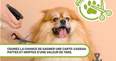 Concours Gagnez une carte-cadeau Pattes et Griffes d'une valeur de 100$!