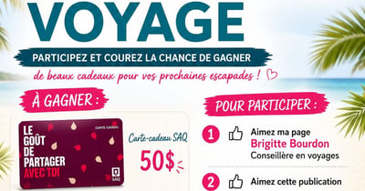 Concours Gagnez une carte-cadeau SAQ de 50$ et une paire de bandeaux de voyage Croisières et Voyages Lapointe!