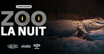 Concours Gagnez une expérience nocturne mémorable au Zoo de Granby!
