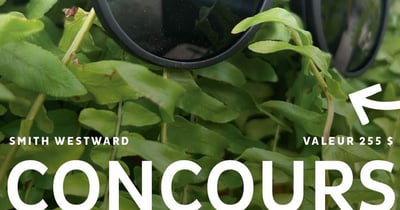 Concours Gagnez une paire de lunettes smithoptics Westward!