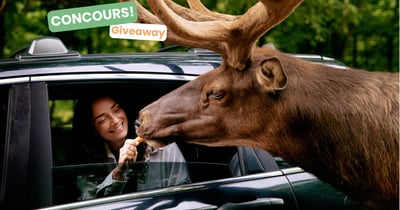Concours Gagnez une passe familiale pour le Parc Oméga!