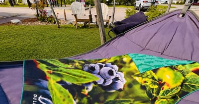 Concours Gagnez une serviette de plage aux couleurs de Délices du Lac-Saint-Jean!