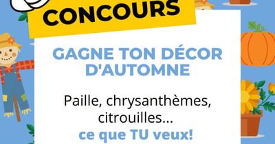 Concours Gagnez votre décor d'automne d'une valeur de 250$!
