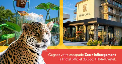 Concours Gagnez votre escapade familiale au zoo et à l'Hôtel Castel!