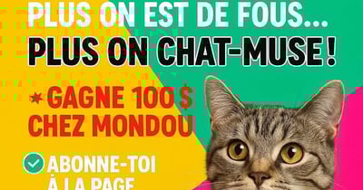 Concours Patrichats - Gagnez une carte cadeau MONDOU de 100$ !
