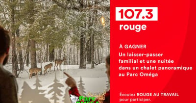 Concours Rouge 107,3 - Vivez le Parc Oméga !