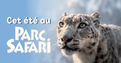 Concours Rythme FM 105,7 Gagnez un laissez-passer familial pour vivre l'aventure au Parc Safari!