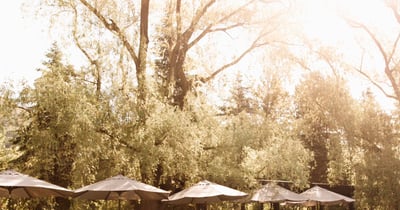 Concours Gagner deux entrées adulte et deux entrées enfant pour vivre un moment de détente en famille dans l’un de nos spas participants