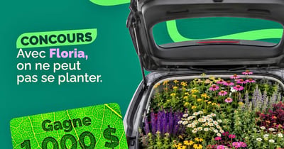 Concours Gagnez 1000$ en plantes Lemay! Concours Gagnez 1000$ en plantes Lemay!