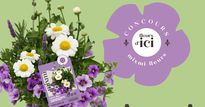 Concours Gagnez un ensemble de fleurs vivaces et annuelles!