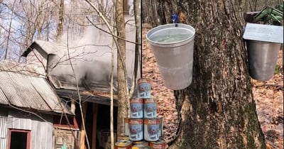 Concours Gagnez un gallon de sirop d'érable pur!