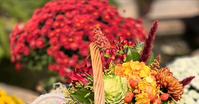 Concours Gagnez un panier cadeau d’une valeur de 100 $ rempli de douceurs et de décorations chaleureuses Concours Gagnez un panier cadeau d’une valeur de 100 $ rempli de douceurs et de décorations chaleureuses