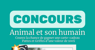 Concours Gagnez une carte-cadeau Pattes Et Griffes de 100$!