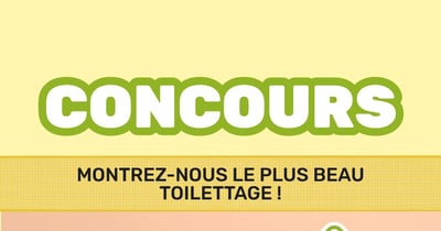 Concours Gagnez une carte-cadeau Pattes et Griffes d'une valeur de 100$!