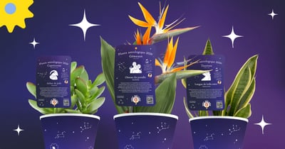 Concours Gagnez votre carte du ciel et votre plante astrologique!