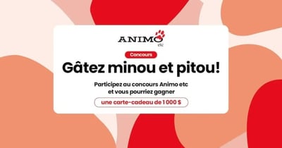 Concours Gâtez Minou et Pitou!