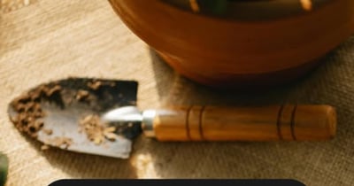 Concours Les Jardinières Inc. Entretien Paysager - Gagnez une Carte cadeau de 100$ chez Canac !
