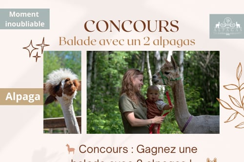 Concours Alpagas du Domaine Poissant!