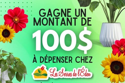 Concours Construction RGP Brouillard & Les Serres de l'Éden - Gagnez 100$ en plantes!