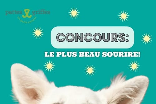 Concours Courez la chance de gagner une carte-cadeau Pattes & Griffes d'une valeur de 100$!