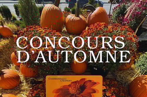 Concours D’AUTOMNE CHARBONNEAU L’EXPERT!