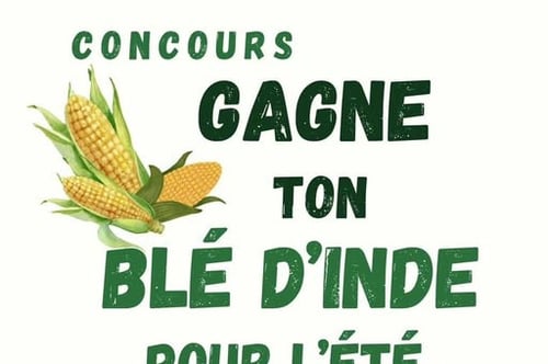 Concours Ferme Michel Lauzon - Gagne ton blé d'inde pour l'été!