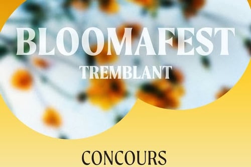 Concours Gagnez l’expérience Bloomafest Tremblant!