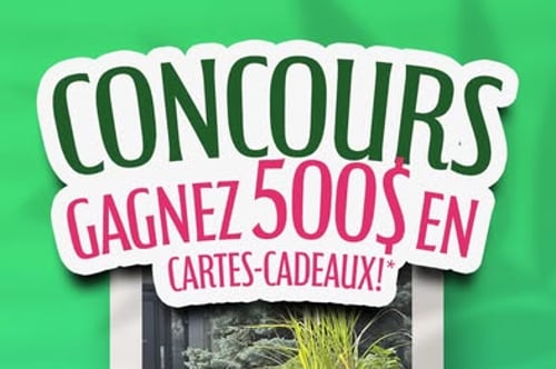 Concours Gagnez l'une des cinq cartes cadeaux de 100$!