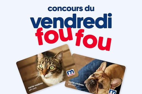 Concours Gagnez l'une des deux cartes-cadeaux Mondou de 500$!