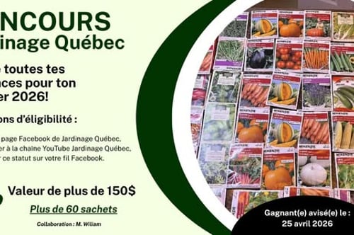 Concours Gagnez toutes vos semences pour votre potager!