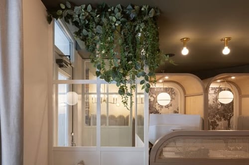 Concours Gagnez un certificat cadeau de 250$ au MORA Pasta e Prosecco ou Va Bene!