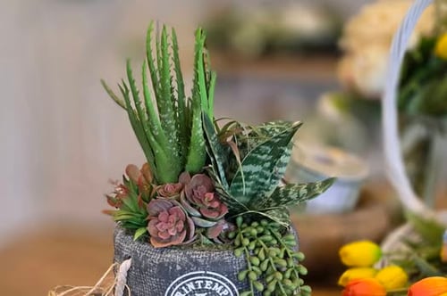 Concours Gagnez un ensemble Féérik d'une valeur de 200$!