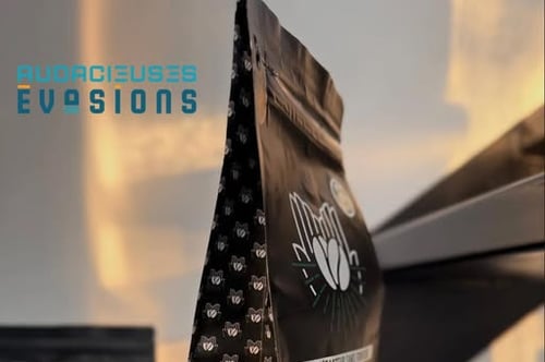 Concours Gagnez un mois de café et un certificat-cadeau de 300$ chez Audacieuses Évasions!