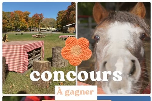 Concours Gagnez un pique-nique pour deux personnes à la Cabane à sucre Constantin Grégoire!