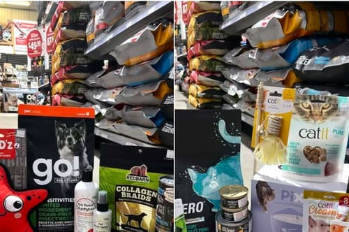 Concours Gagnez un prix pour votre chien ou votre chat offert par Paddock Animal & Co