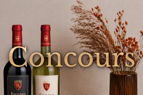 Concours Gagnez une Braisière Le Creuset Citrouille et une bouteille des deux vins Escudo Rojo!