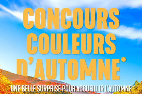 Concours Gagnez une carte-cadeau de 250 $ chez Docteur du Pare-Brise