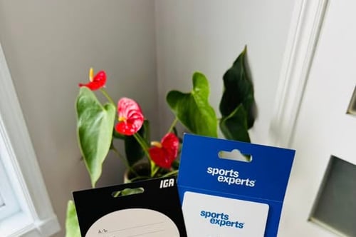 Concours Gagnez une carte-cadeau IGA ou Sports Experts de 75$!