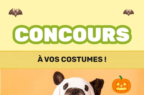 Concours Gagnez une carte-cadeau Pattes Et Griffes de 100$!
