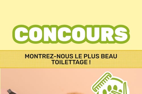 Concours Gagnez une carte-cadeau Pattes et Griffes d'une valeur de 100$!