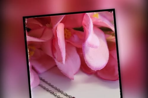 Concours Gagnez une chaîne en acier inoxydable et pendentif papillon en cristal autrichien!