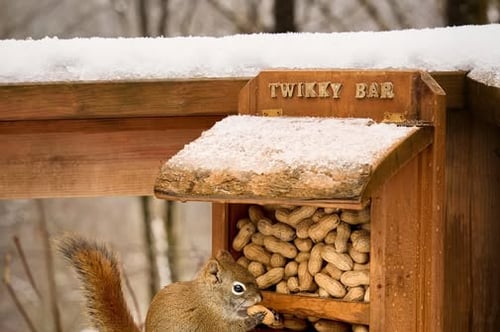 Concours Les deux loutres - Gagnez un séjour inoubliable de 2 nuits dans notre magnifique chalet!