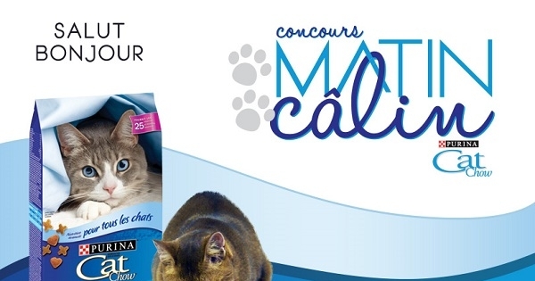 Concours Gagnez 1000$ et une année de nourriture Purina Cat Chow! Concours Gagnez 1000$ et une année de nourriture Purina Cat Chow!