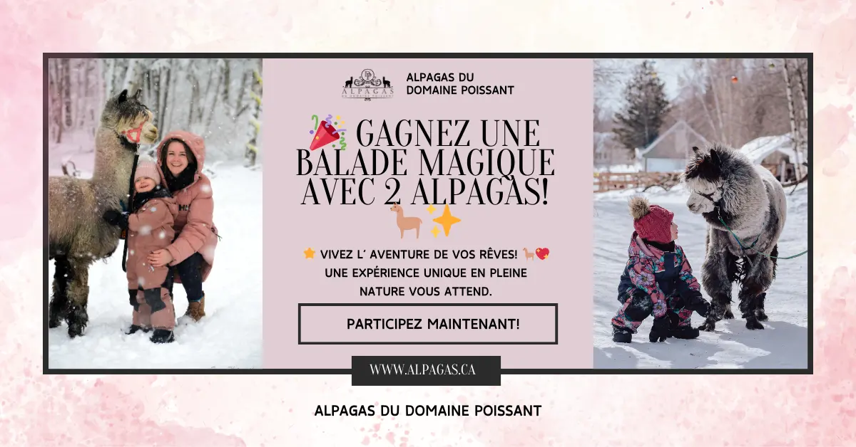 Concours Alpagas du Domaine Poissant Gagnez une balade avec 2 alpagas, pour 4 adultes et 4 enfants!